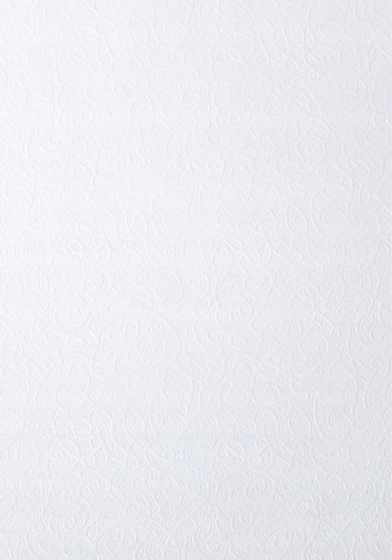 

Papier Ozdobny Wizytówkowy Biały Flora 230g 20ark