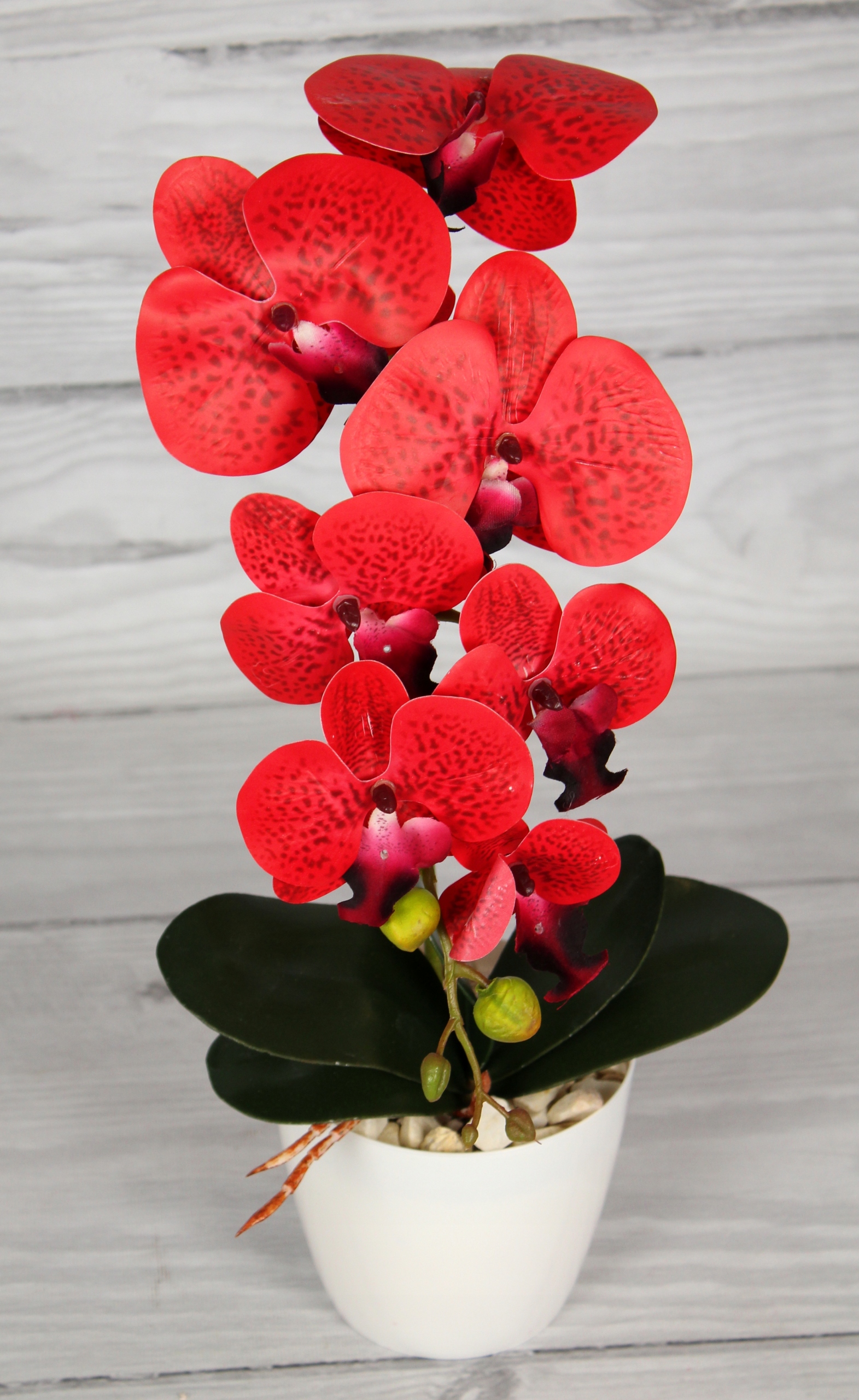 STORCZYK SZTUCZNY ORCHIDEA KWIATY SILIKONOWY Kod producenta Storczyk silikonowy