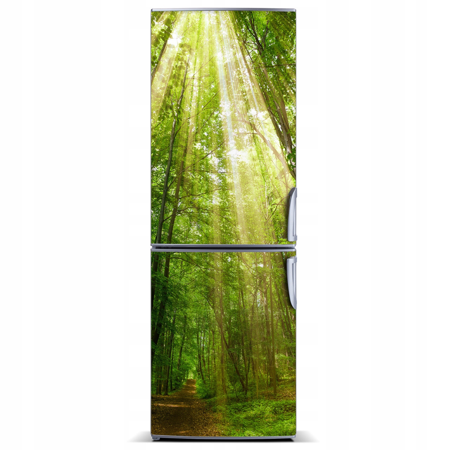 

Magnetyczna Mata na lodówkę Ścieżka w lesie 60x180