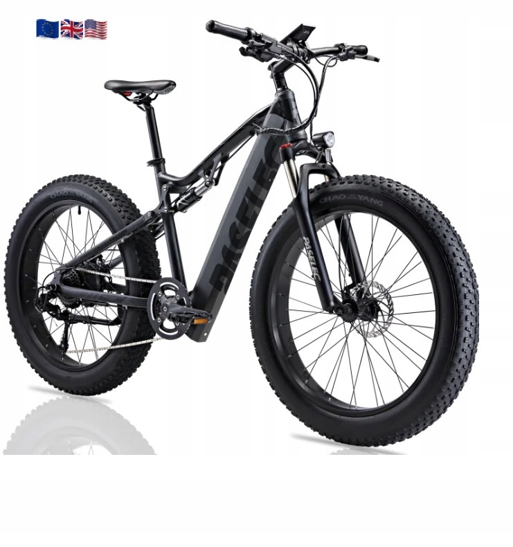 Elektrický moped Paselec GS9 Plus 250W hliníkový, kolo 26