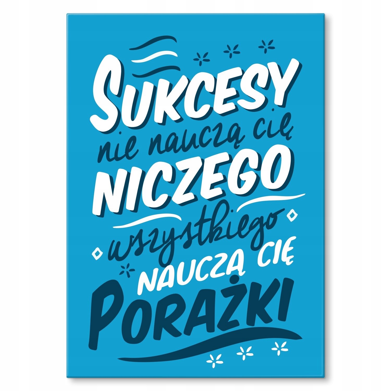 Kovový plakát úspěchy nenaučí Štítek Plech 42 x 59,4 cm Dárek