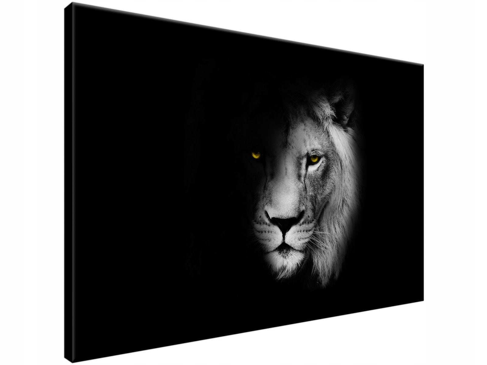 

Obraz drukowany Lew w cieniu 90x60 polski