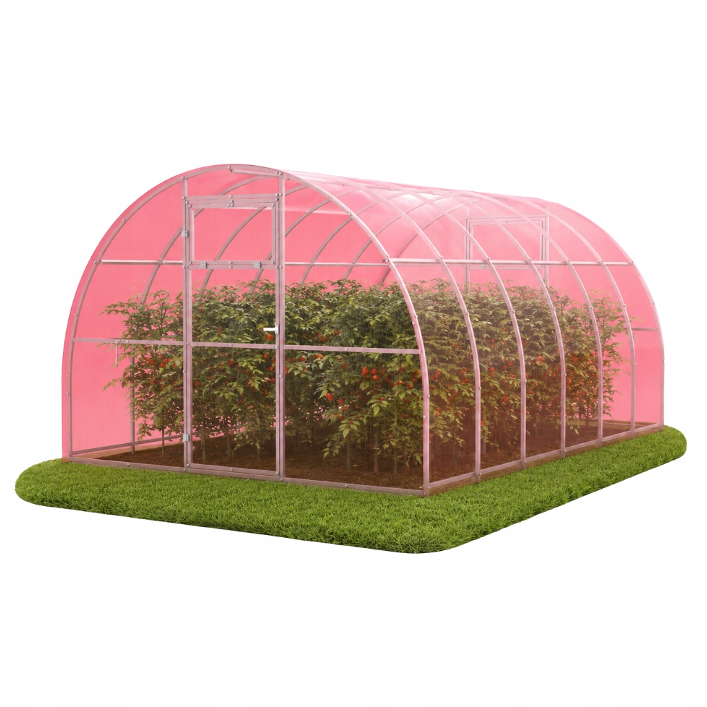 Skleník z polykarbonátu Zahradní tunel 3x10 m profil 40x20 pozink 6 mm růžový