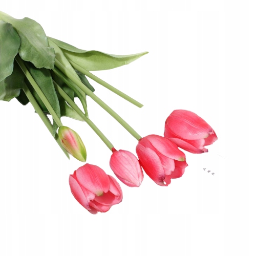 

Tulipan Tulipany Gumowe Silikonowe Bukiet Jak Żywe