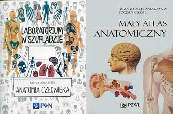Laboratorium Anatomia Mały atlas anatomiczny