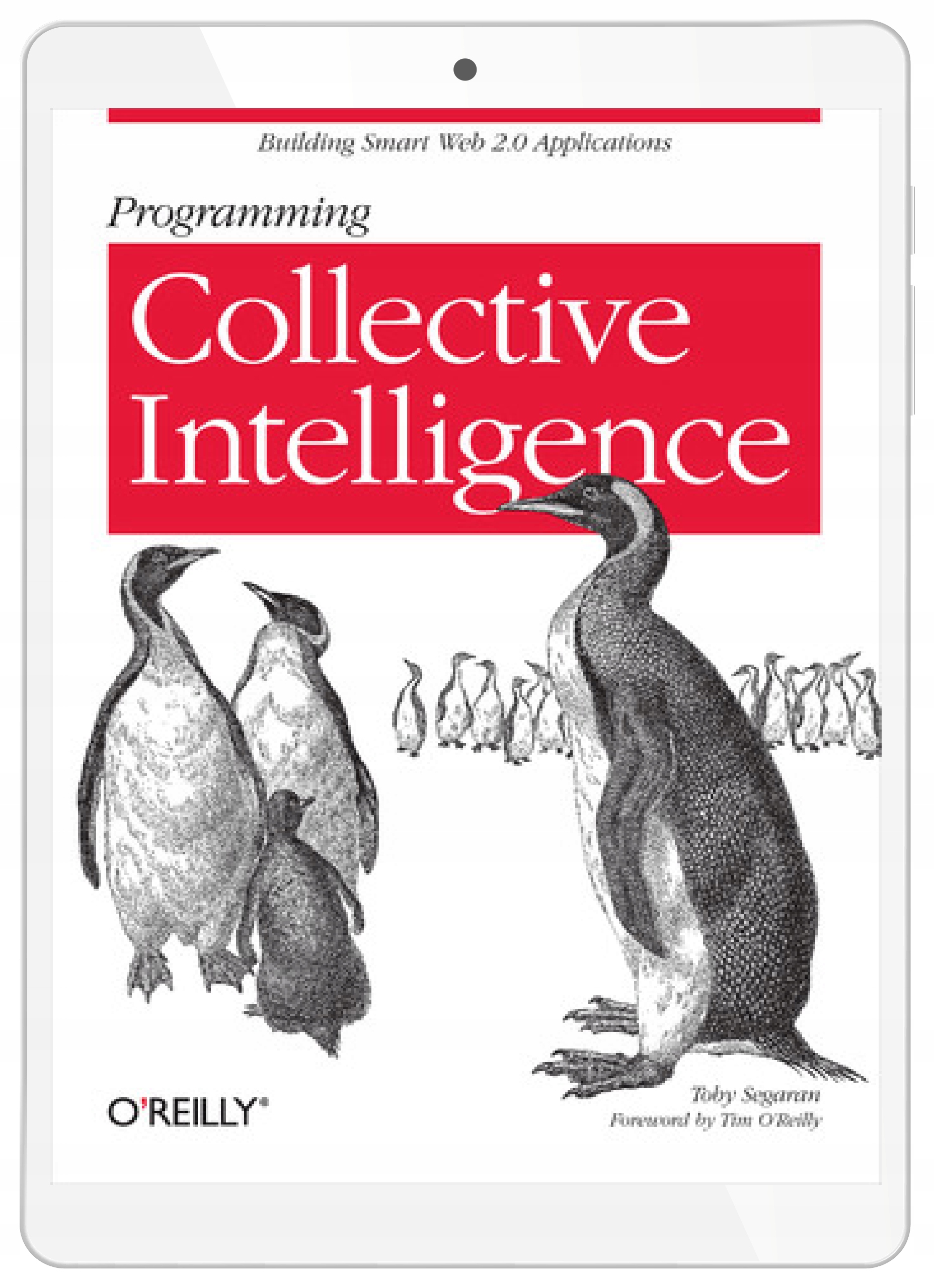 Programming Collective Intelligence. Building