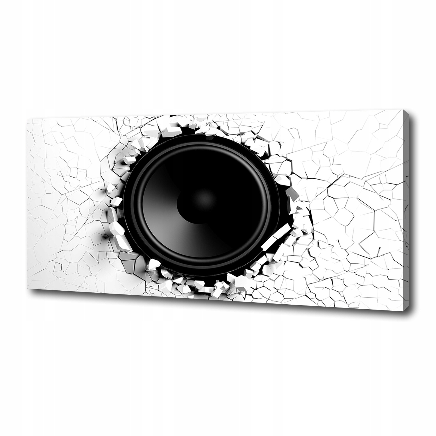 

Foto obraz canvas na ścianę Głośnik 125x50 cm
