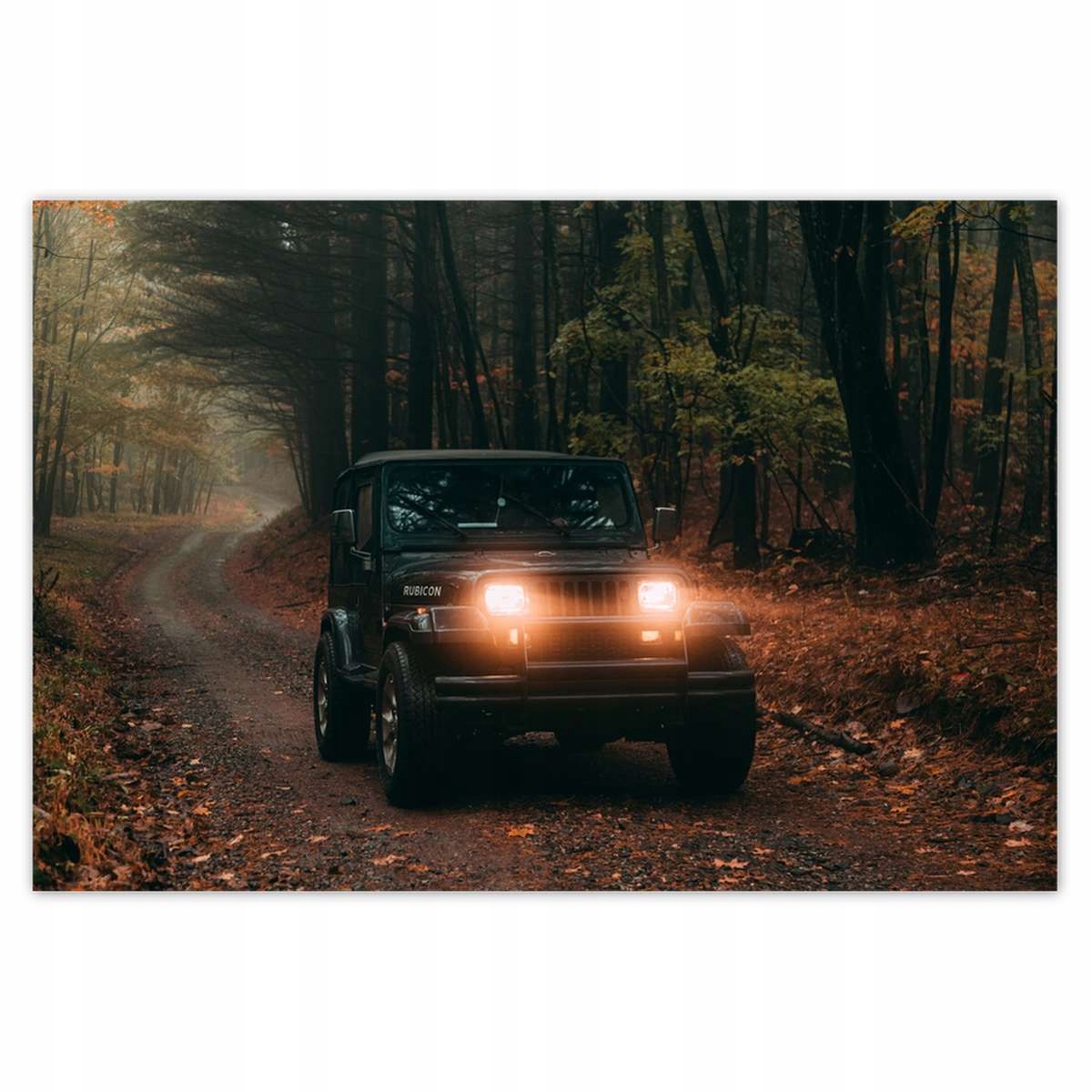 Plakáty 185x125 Automobilový průmysl Auta
