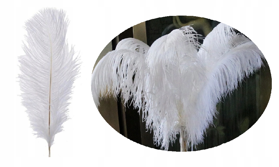 

Strusie pióro Białe 40-45 CM