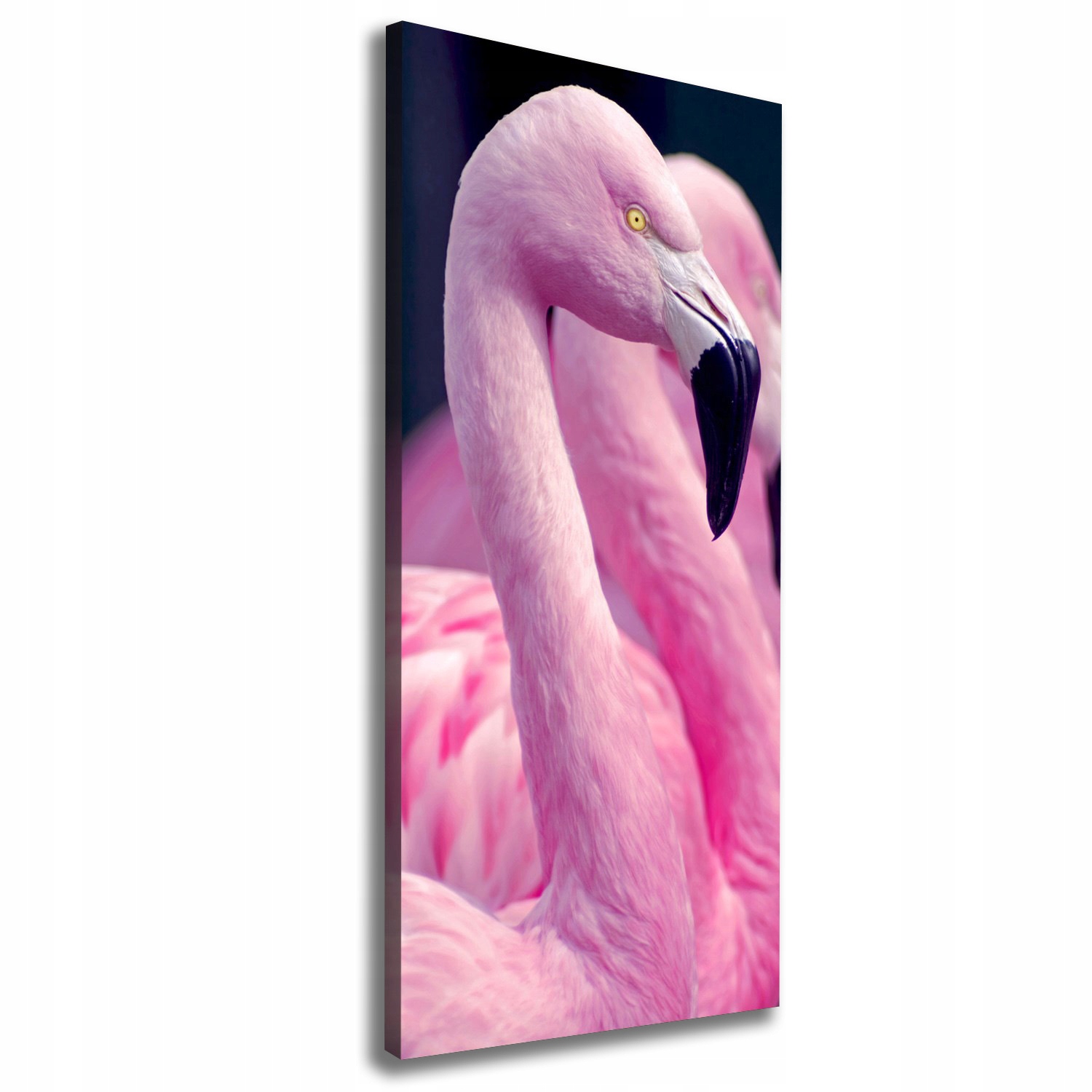 

Foto obraz na płótnie do salonu Flamingi 50x125 cm