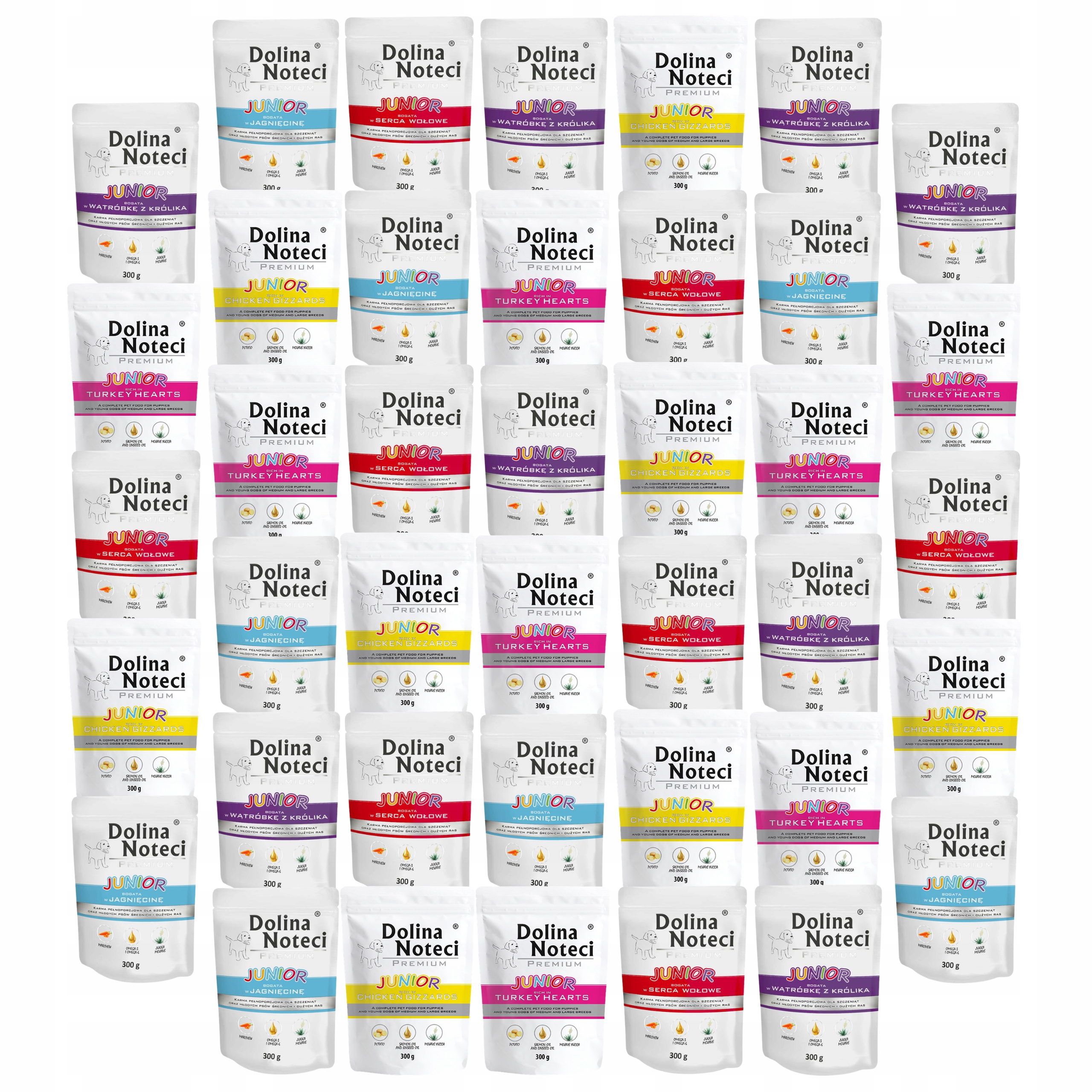 Levně Dolina Noteci Junior Krmivo mokré mix příchutí 40 x 300 g