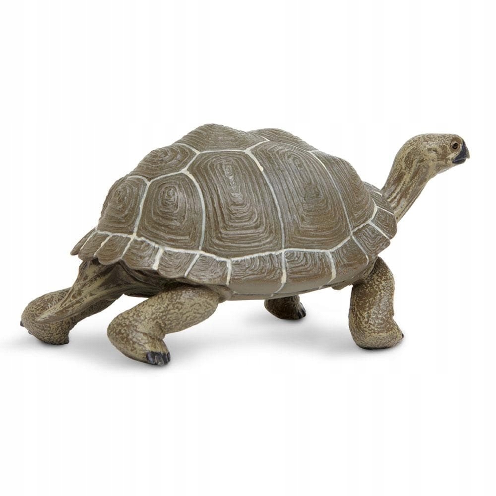 

Żółw Tortoise Safari Ltd. 260729
