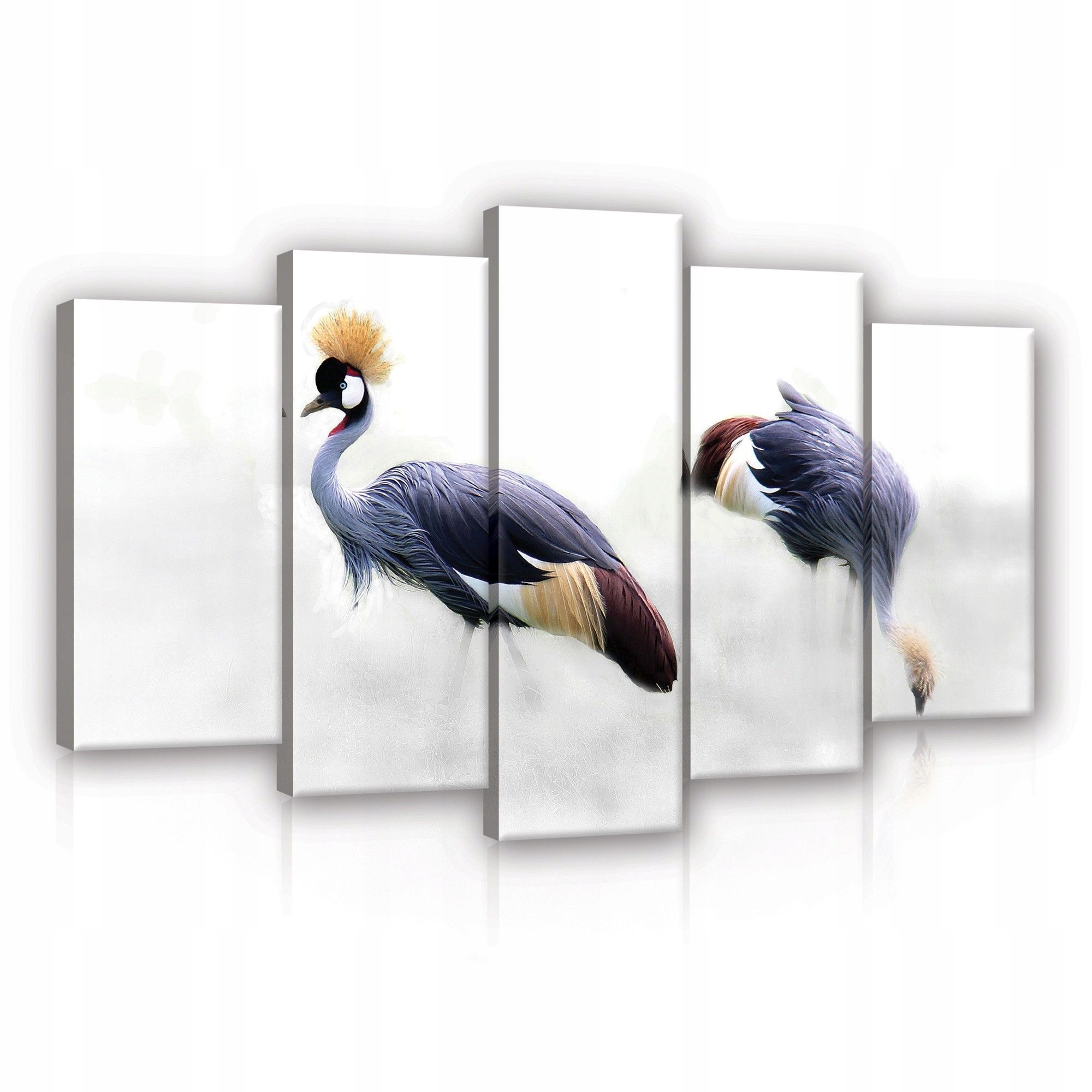 Modulární obraz 100x60 Jeřábi ptáci příroda grácie elegance polyptych