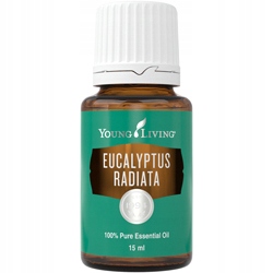 Young Living Eucalyptus Radiata Eukaliptus czysty olejek eteryczny