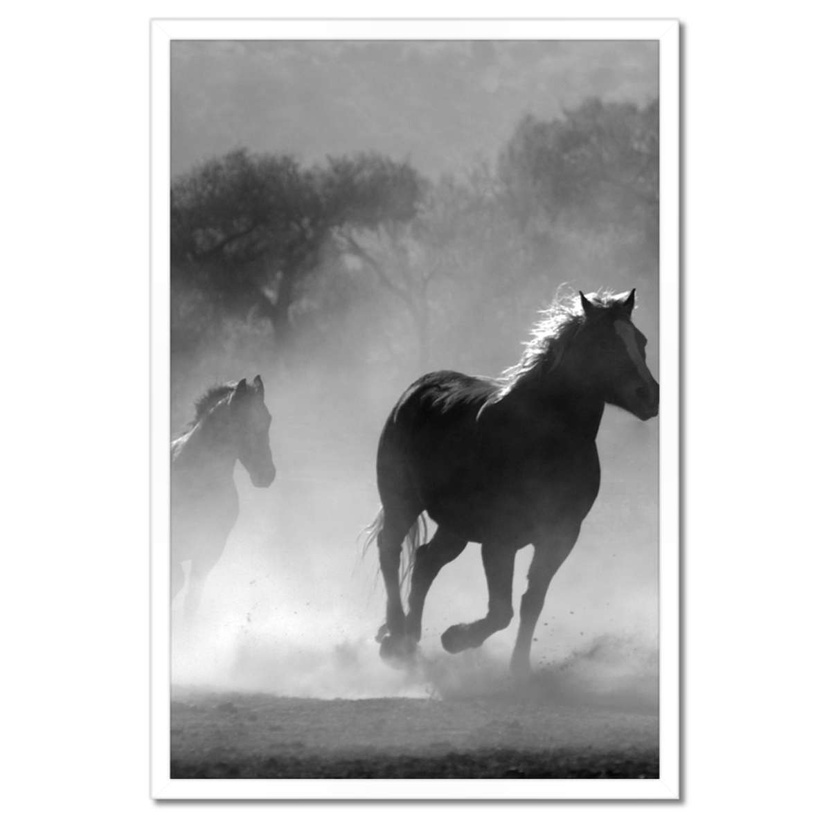 Plakáty v rámu 40x60 Cválající koně