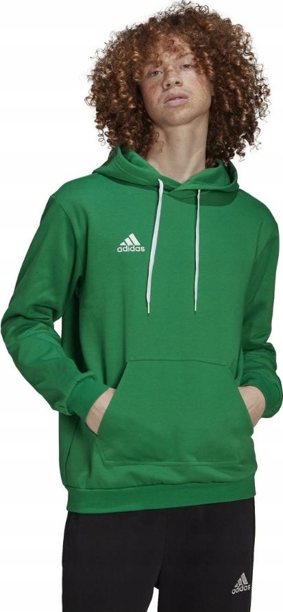 Pánská Mikina Adidas Entrada 22 Sweat Hoodie Zelená HI2141 r S