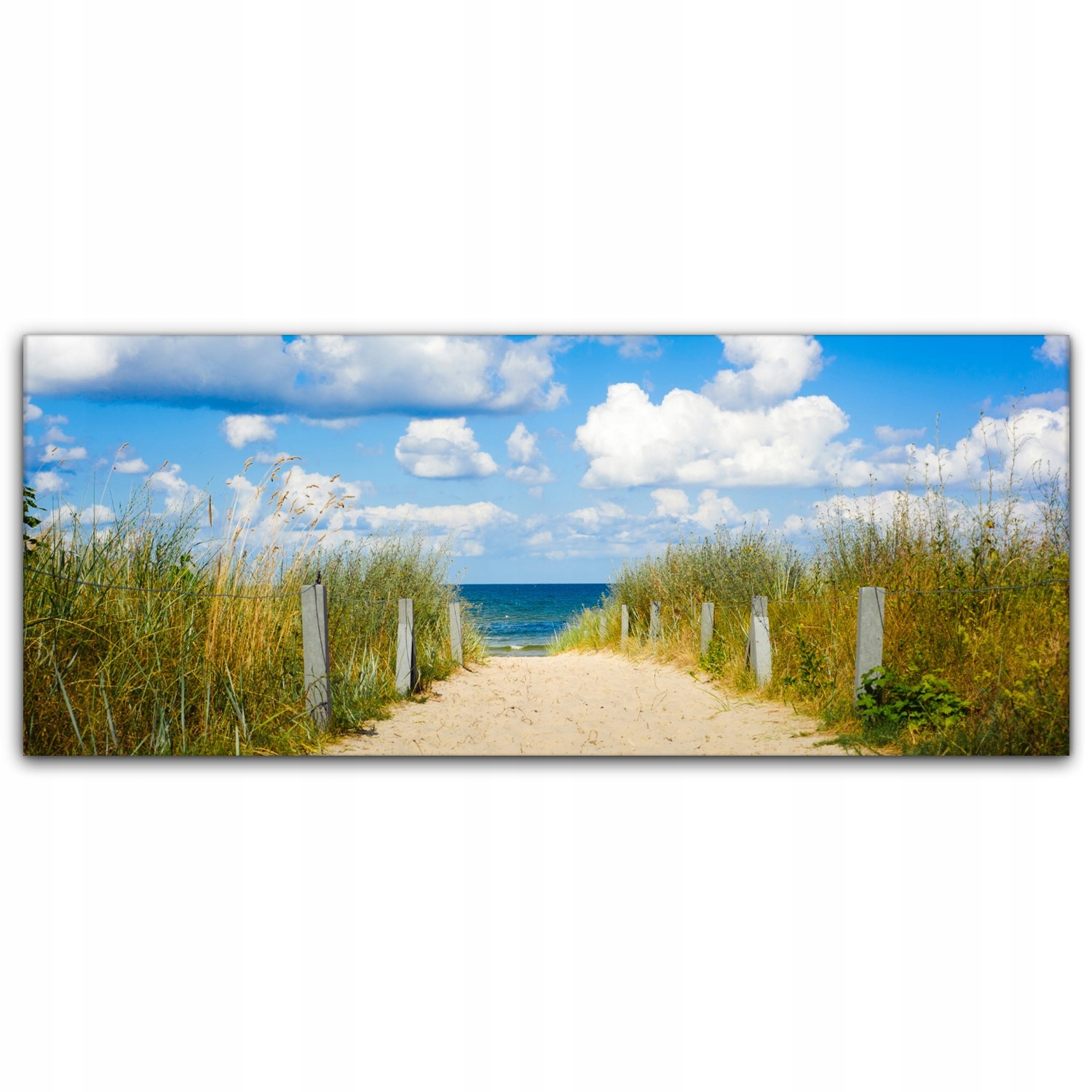 

Obraz na płótnie z foto 125x50 Droga Plaża Bałtyk