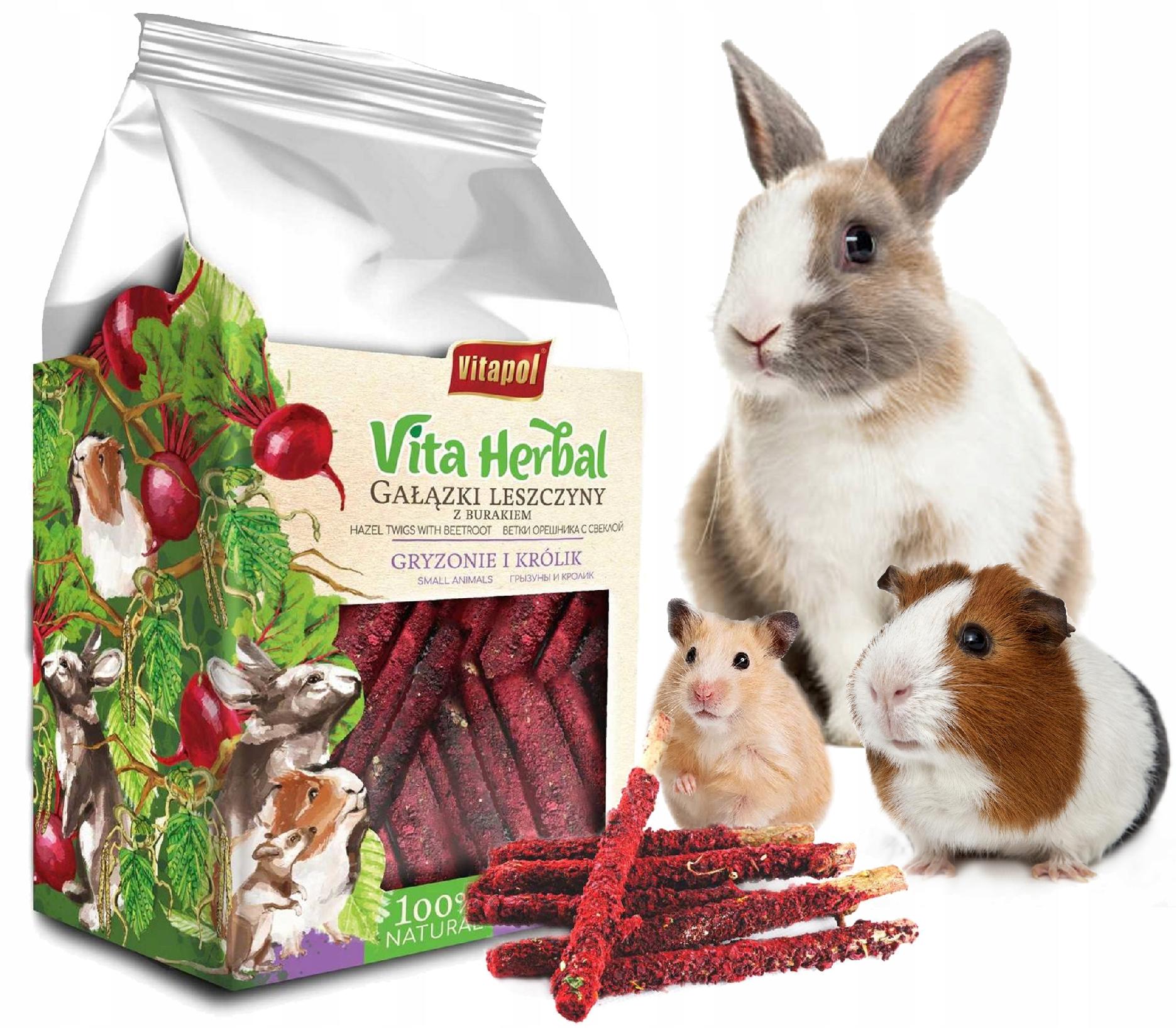 KARMA GAŁĄZKI LESZCZYNY DLA KRÓLIKA CHOMIKA ŚWINKI
