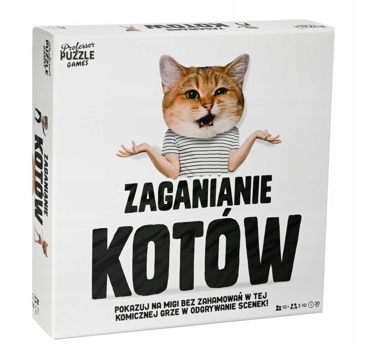 Gra zaganianie kotów