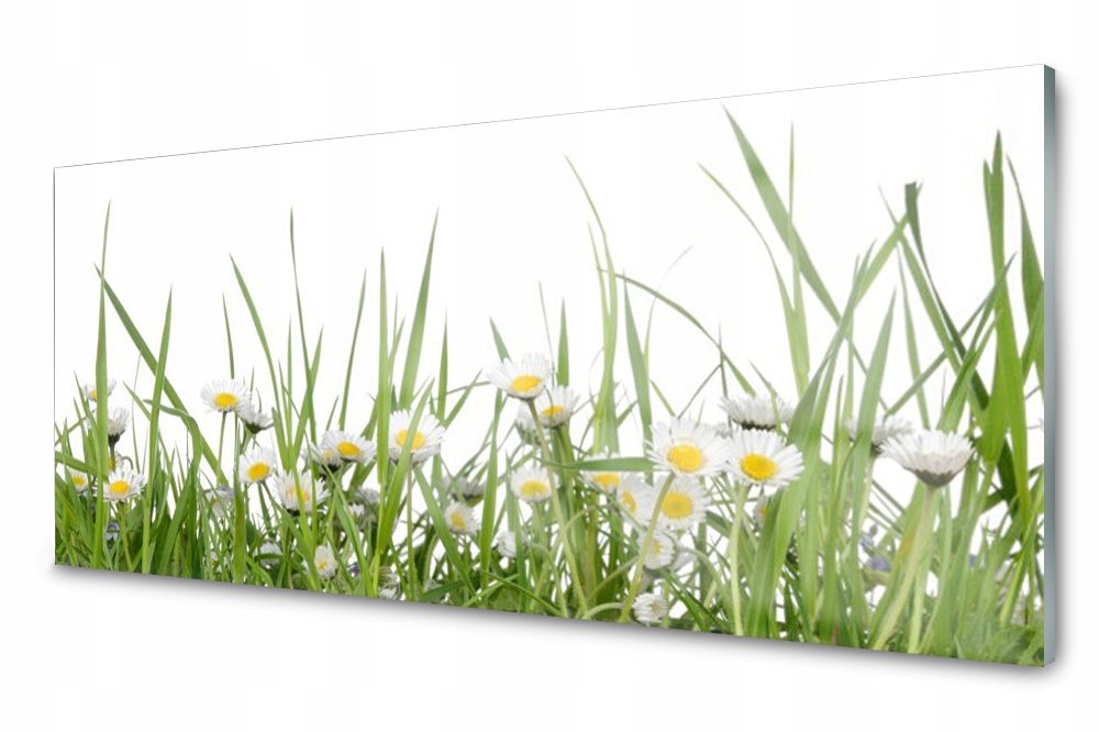 

Panel szklany do kuchni Trawa Stokrotki 125x50
