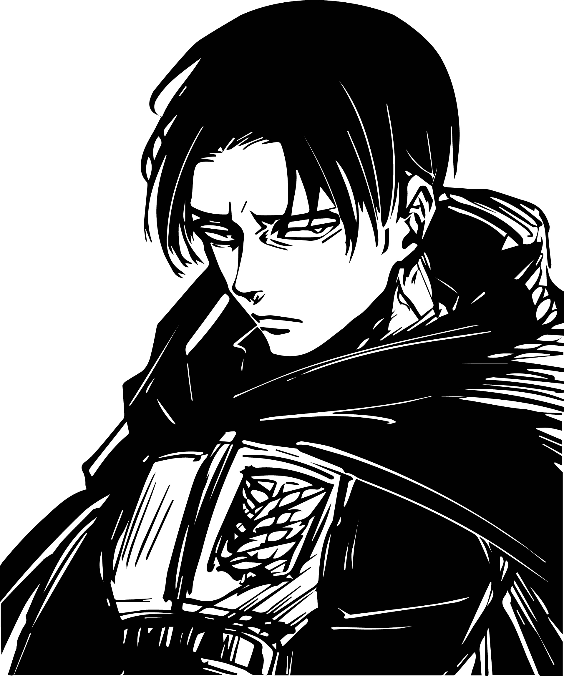 

Naprasowanka Attack On Titan Bluza Koszulka Plecak