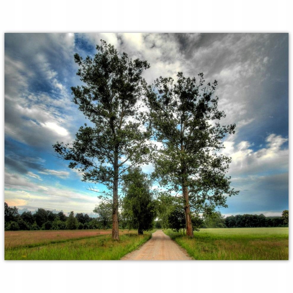 

Plakat 50x40 Wiejska droga