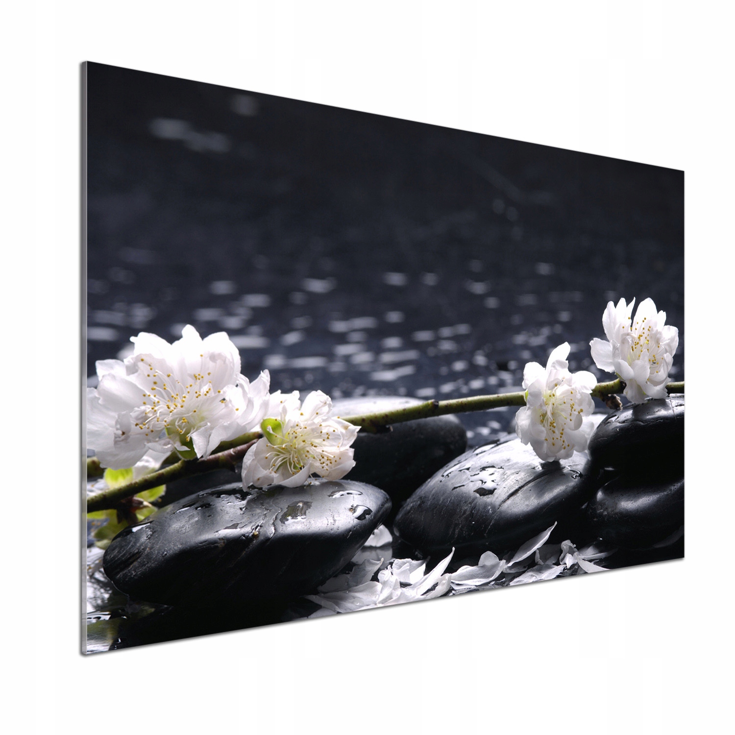 Panel dekor sklo Čerešňový kvet 100x70 cm Lepidlo