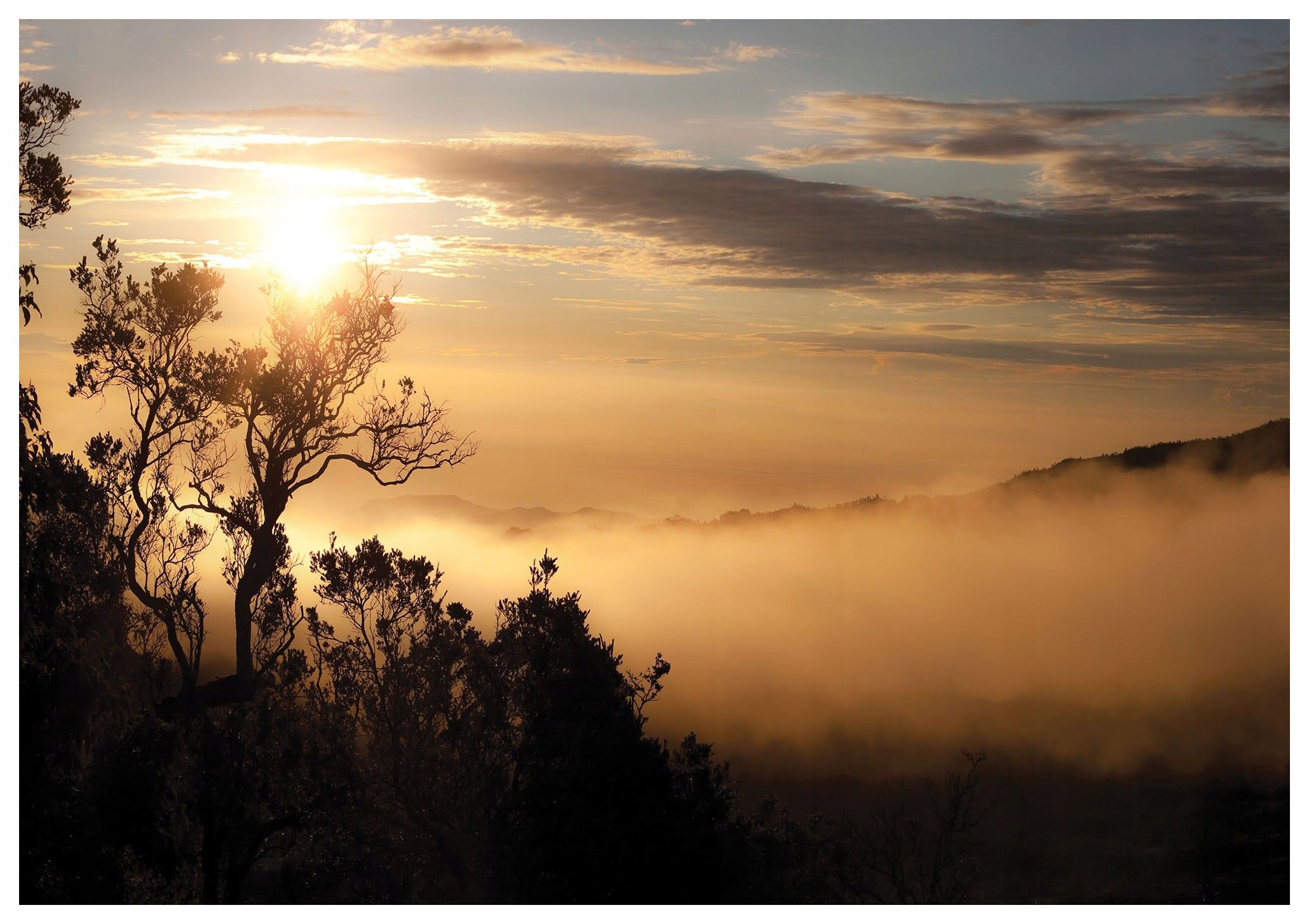 Fototapeta Hory za úsvitu mlhy majestátní ranní ticho 416x254 vinyl lepidlo