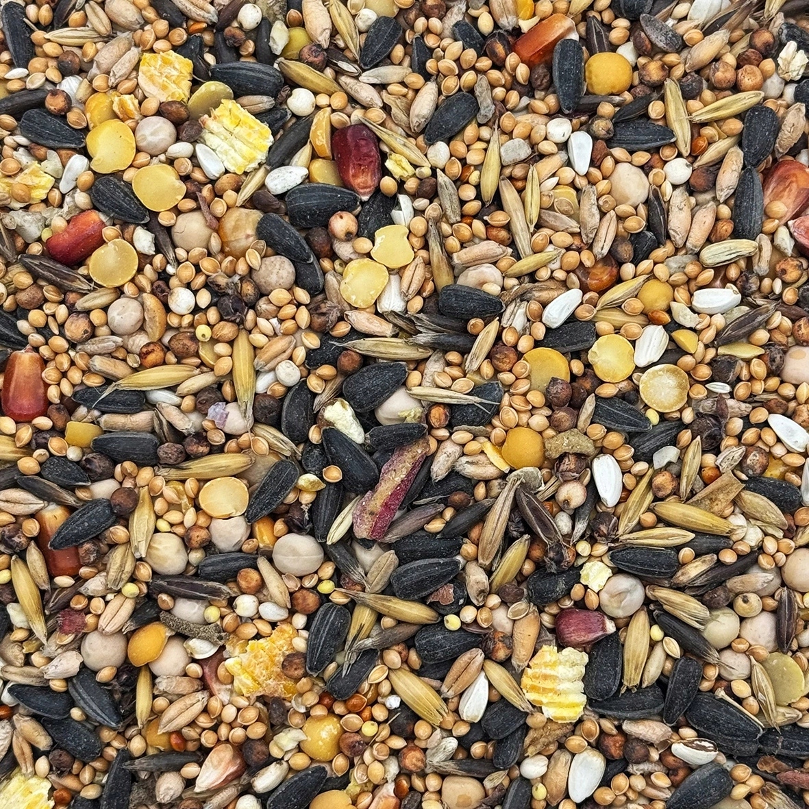 14kg Karma dla papug średnich papugi Nimfa Rozella pokarm STANDARD