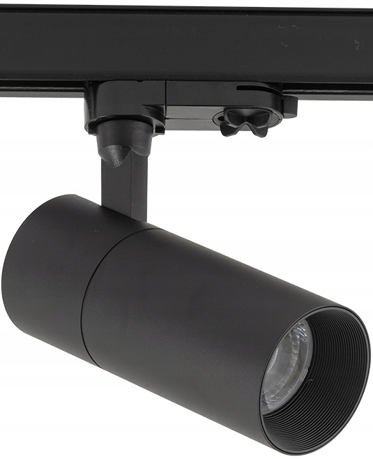 SPOT 10382 CTLS TINOS LED REFLEKTOR 10W 3000K 3fazowej szyny