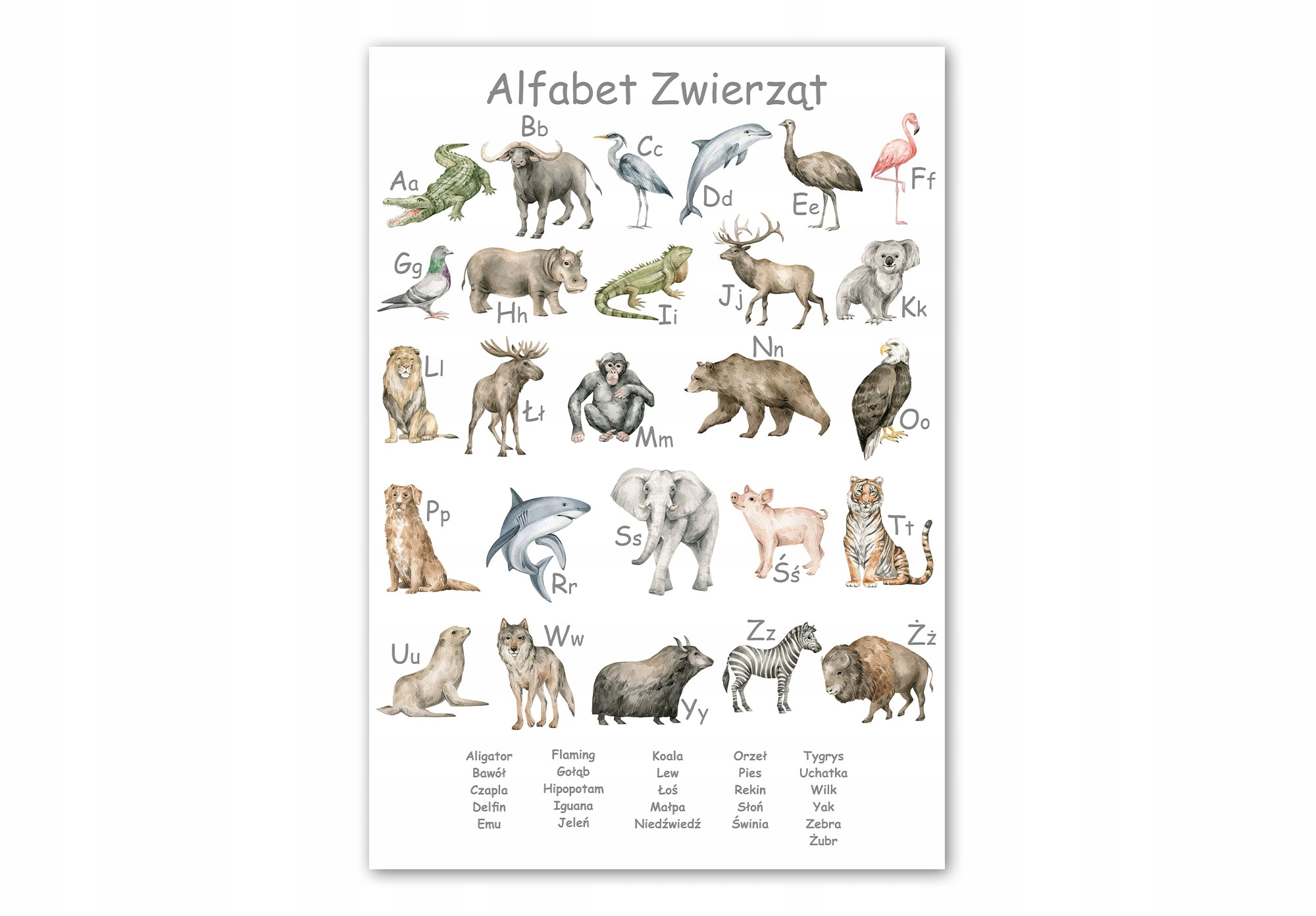 Plakat Edukacyjny Alfabet Zwierzęta 30x40 cm Marka inna marka