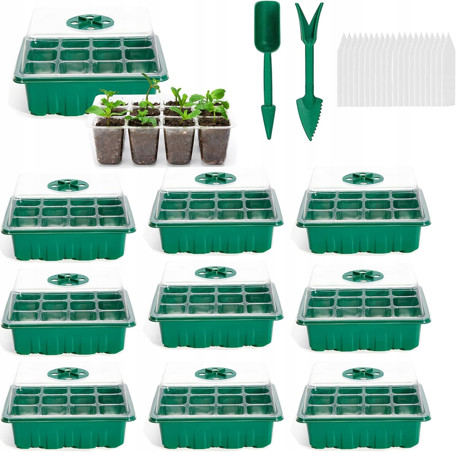 4455e08d491e8be44daf25d12d35