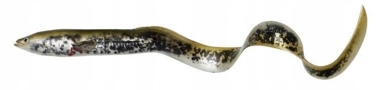 Savage Gear 3D Real Eel 20cm/27g Lamprey Php