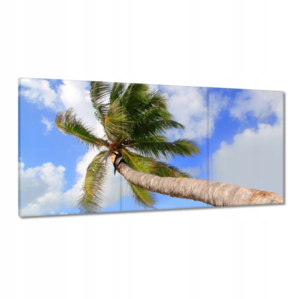 Obrazy 180x90 Palma nad oceánom