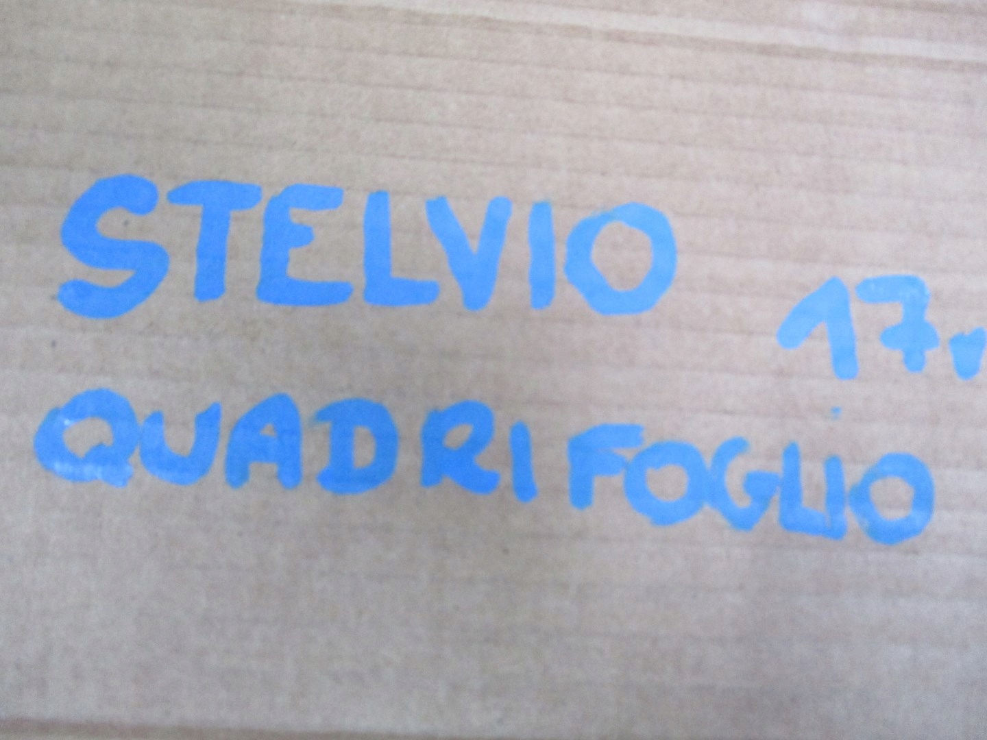 CIELO INTERNO ALFA ROMEO STELVIO QUADRIFOGLIO 17R