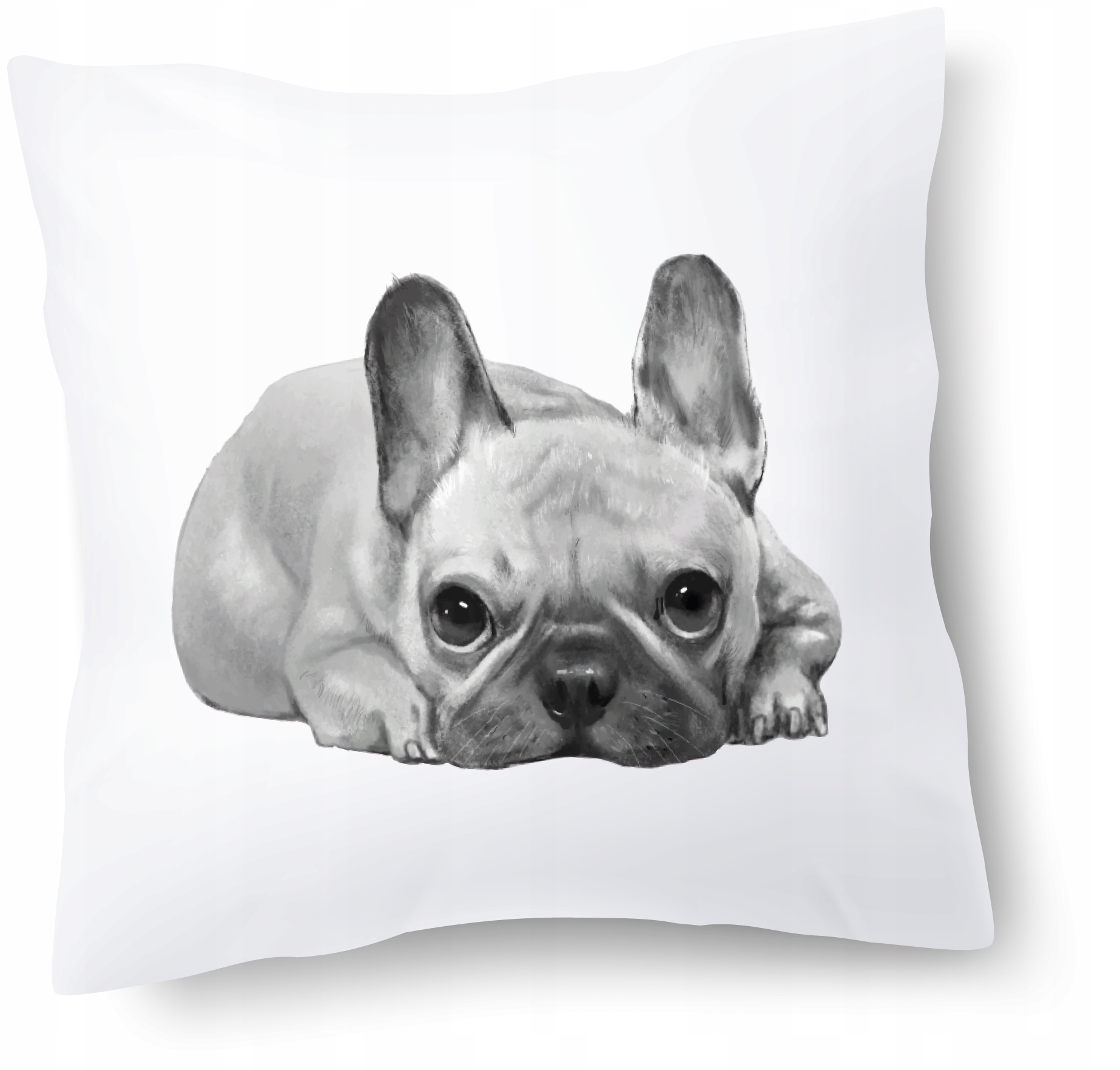 

Poduszka Buldog Francuski