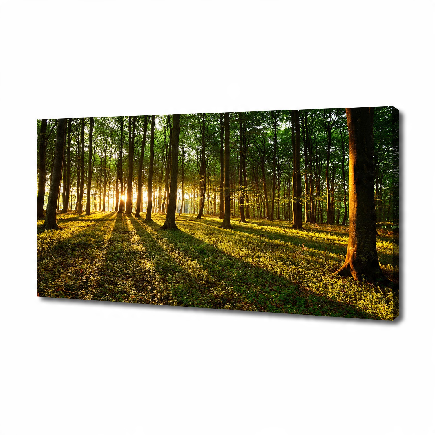 

Foto obraz na płótnie Promienie słońca 140x70 cm
