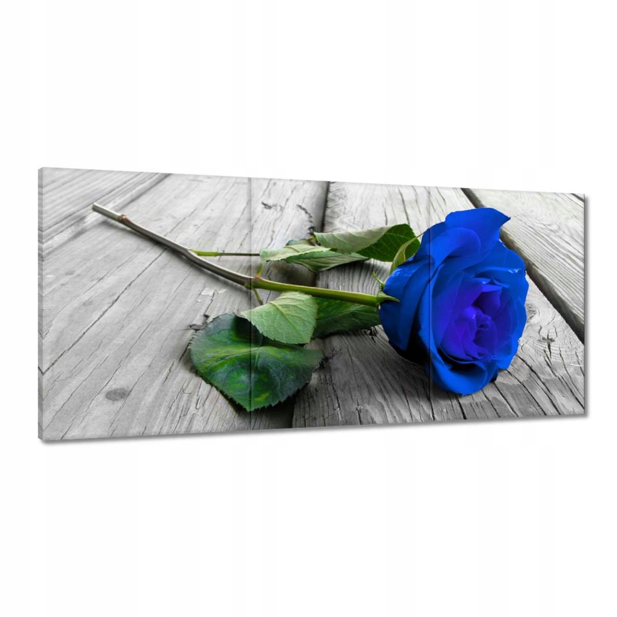 Obrazy 210x100 Modrá ruža na doskách