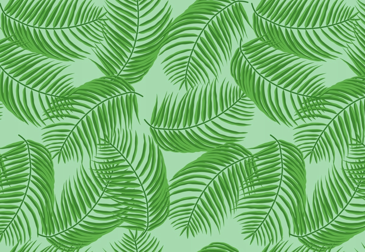 

Fototapeta Flizelinowa Liście palmowe 152x104