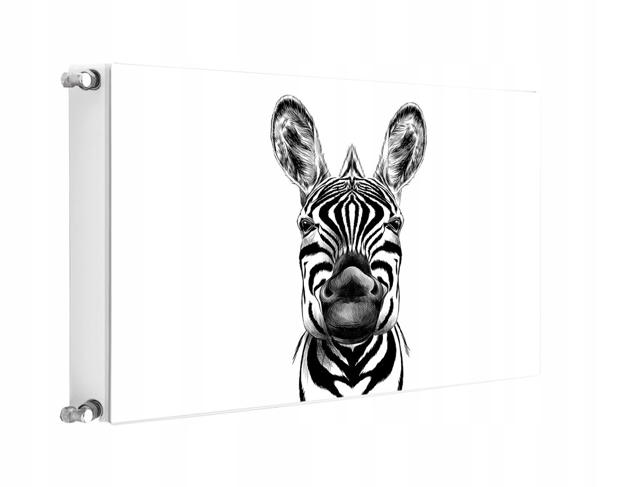 Magnet Na Radiátor 80x60 Zebra Fototapeta