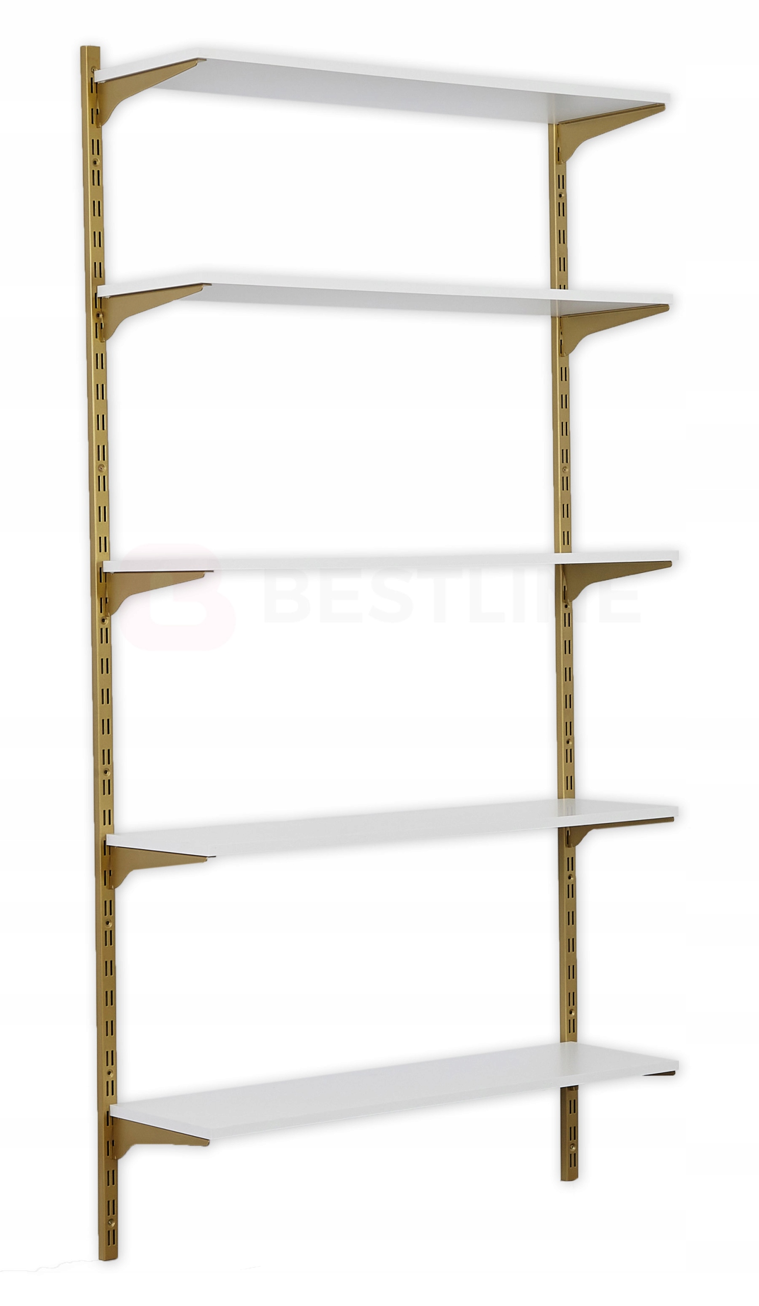 GARDEROBA JEDNOMODUŁOWA Best-line 100x200 ZŁOTA