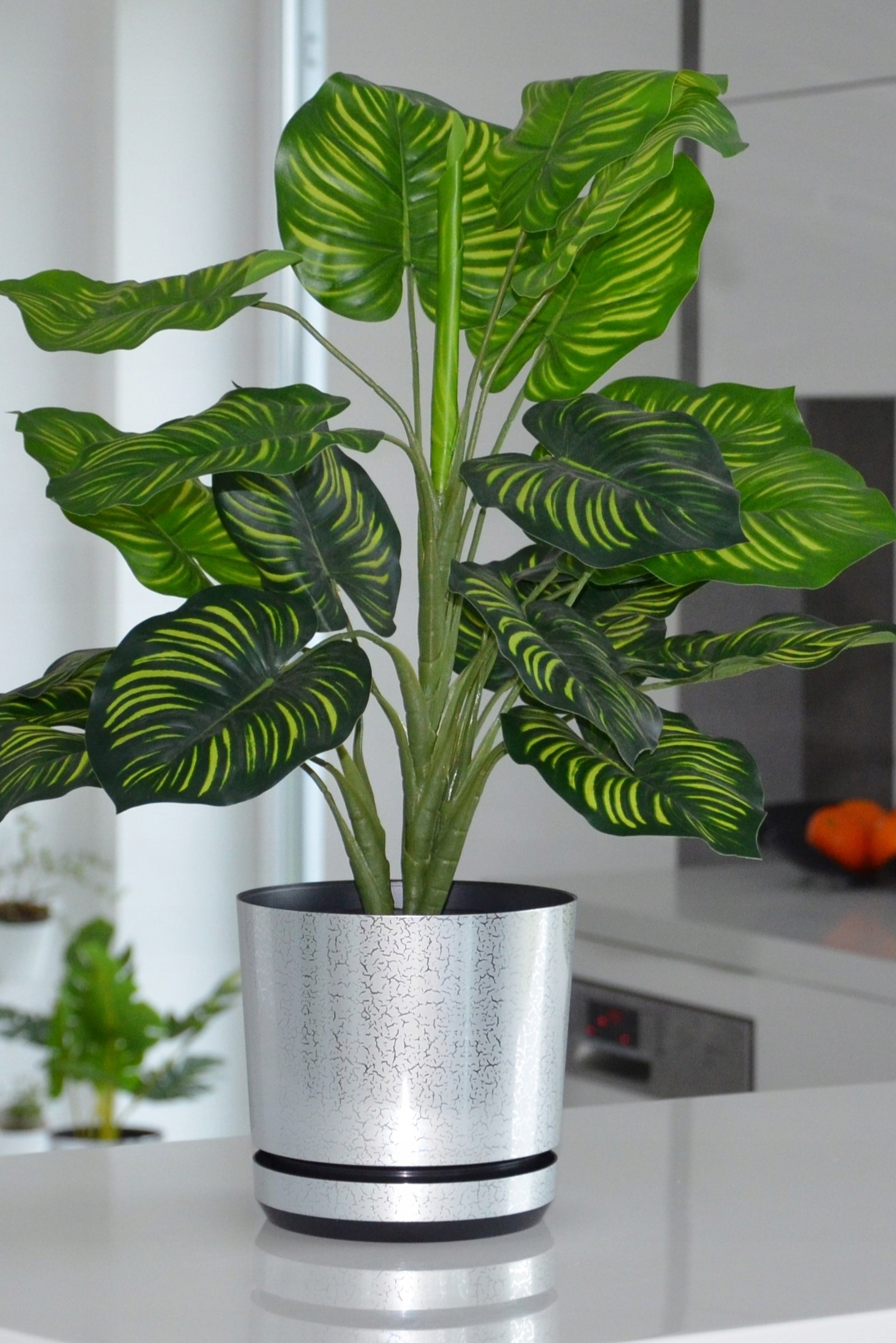 14 Doniczka SREBRO MAT orchidea storczyk glamour