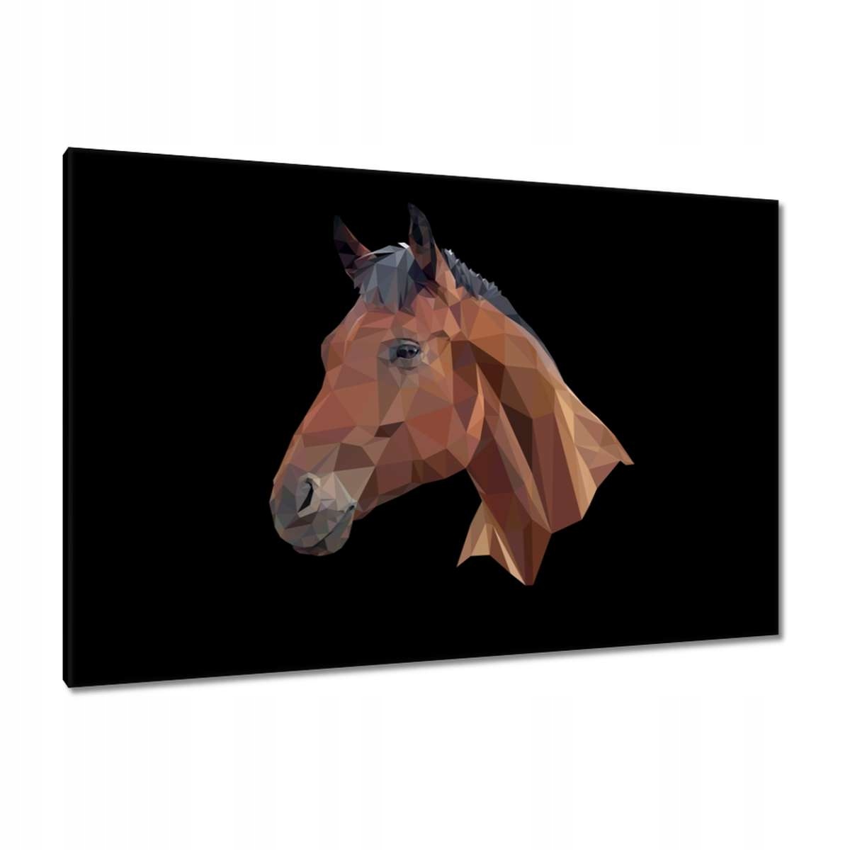Obrazy 120x80 Hlava koně Koňská hlava
