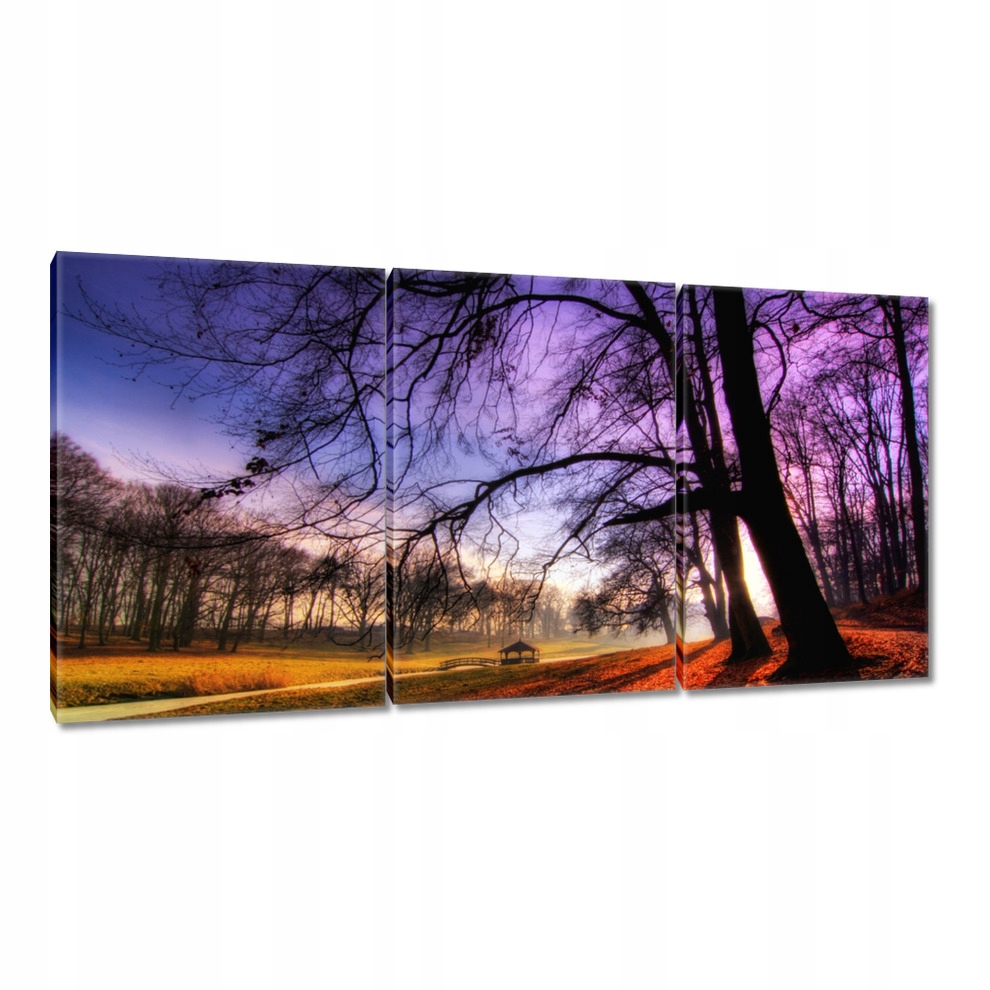 

Obrazy 240x120 Park w Wąsowie
