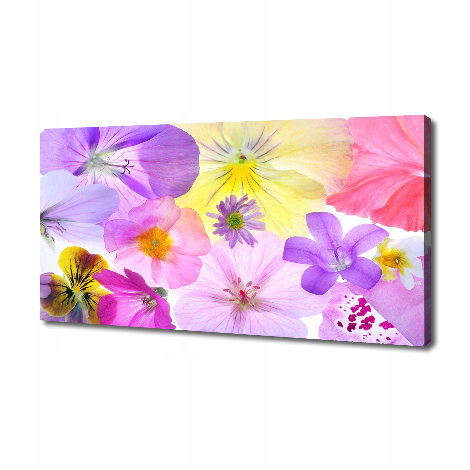

Foto obraz duży canvas na ścianę Bratki 140x70 cm