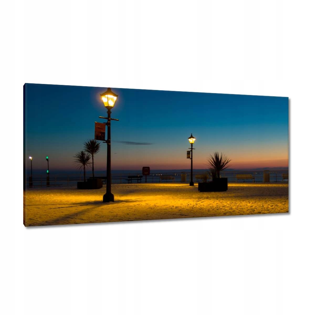 Obrazy 115x55 Lucerny na pláži