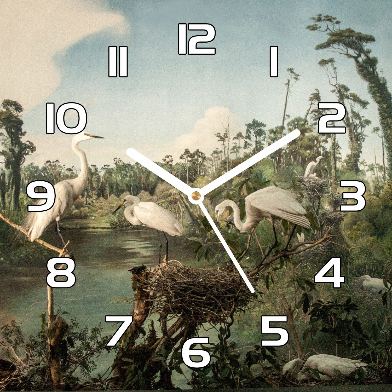 

Szklany zegar Malarstwo nowozelandzie ptaki 30x30