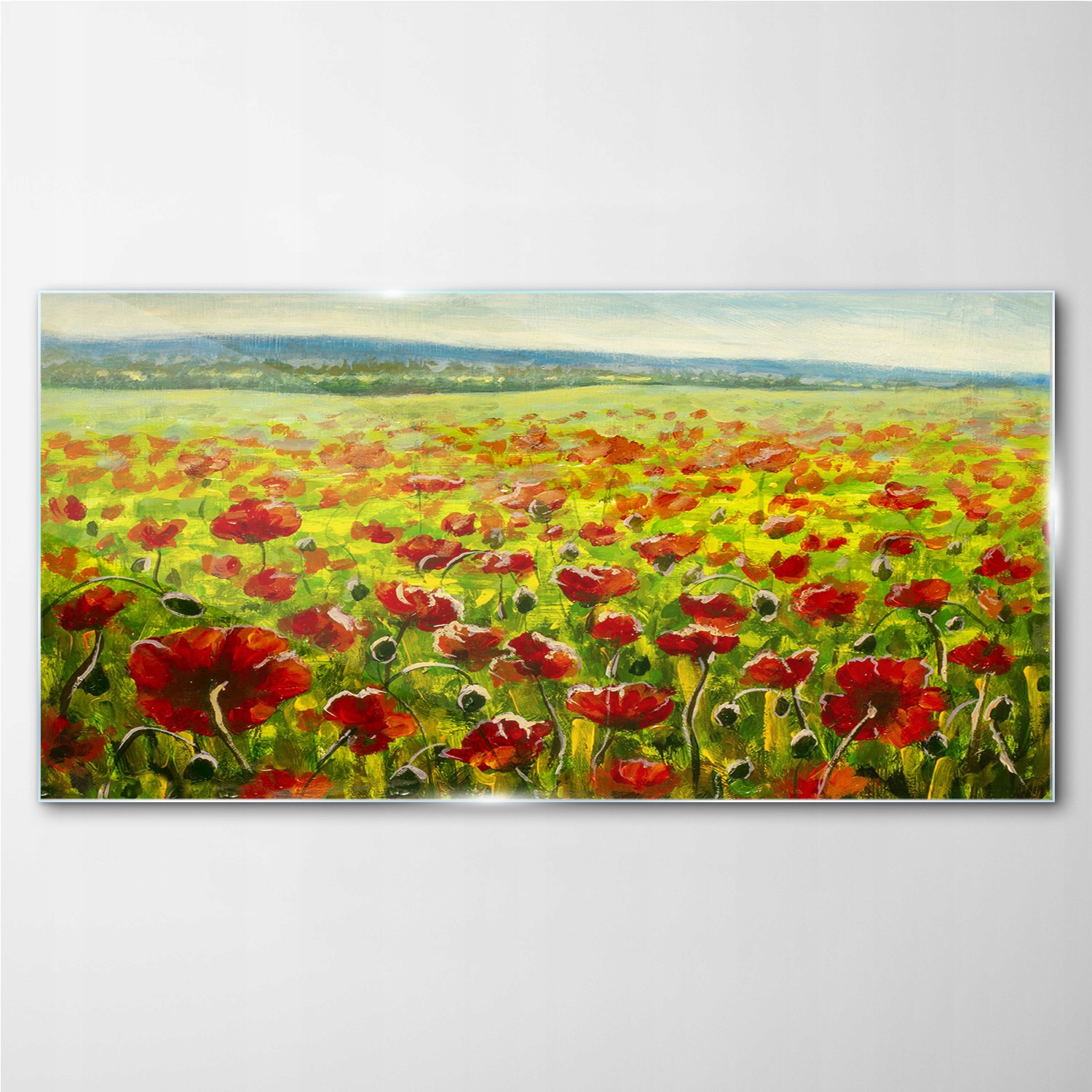 

Obraz szklany Malarstwo kwiaty łąka maki 140x70 cm