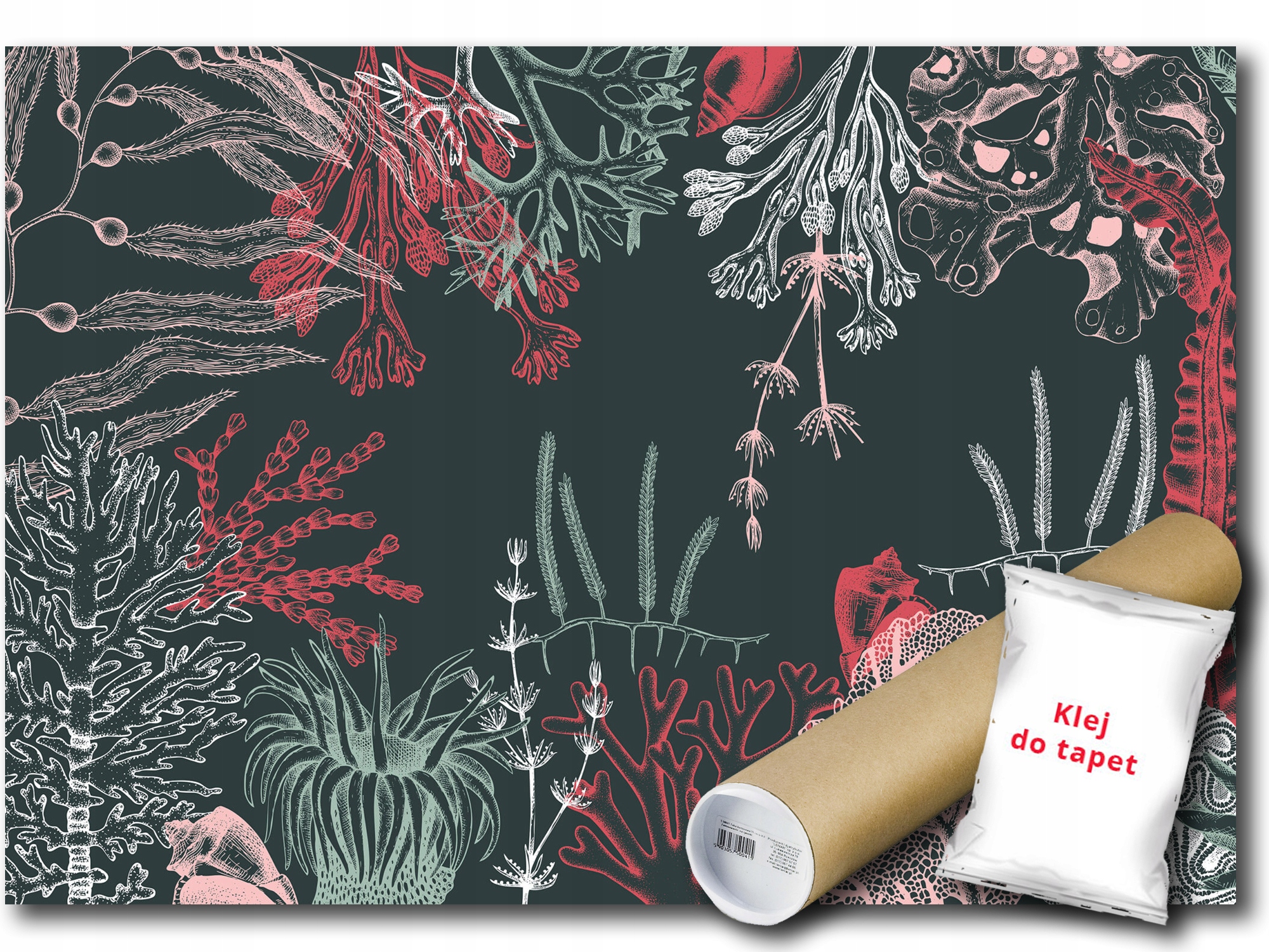 Vinylová Fototapeta Podvodné Rastliny 312x219