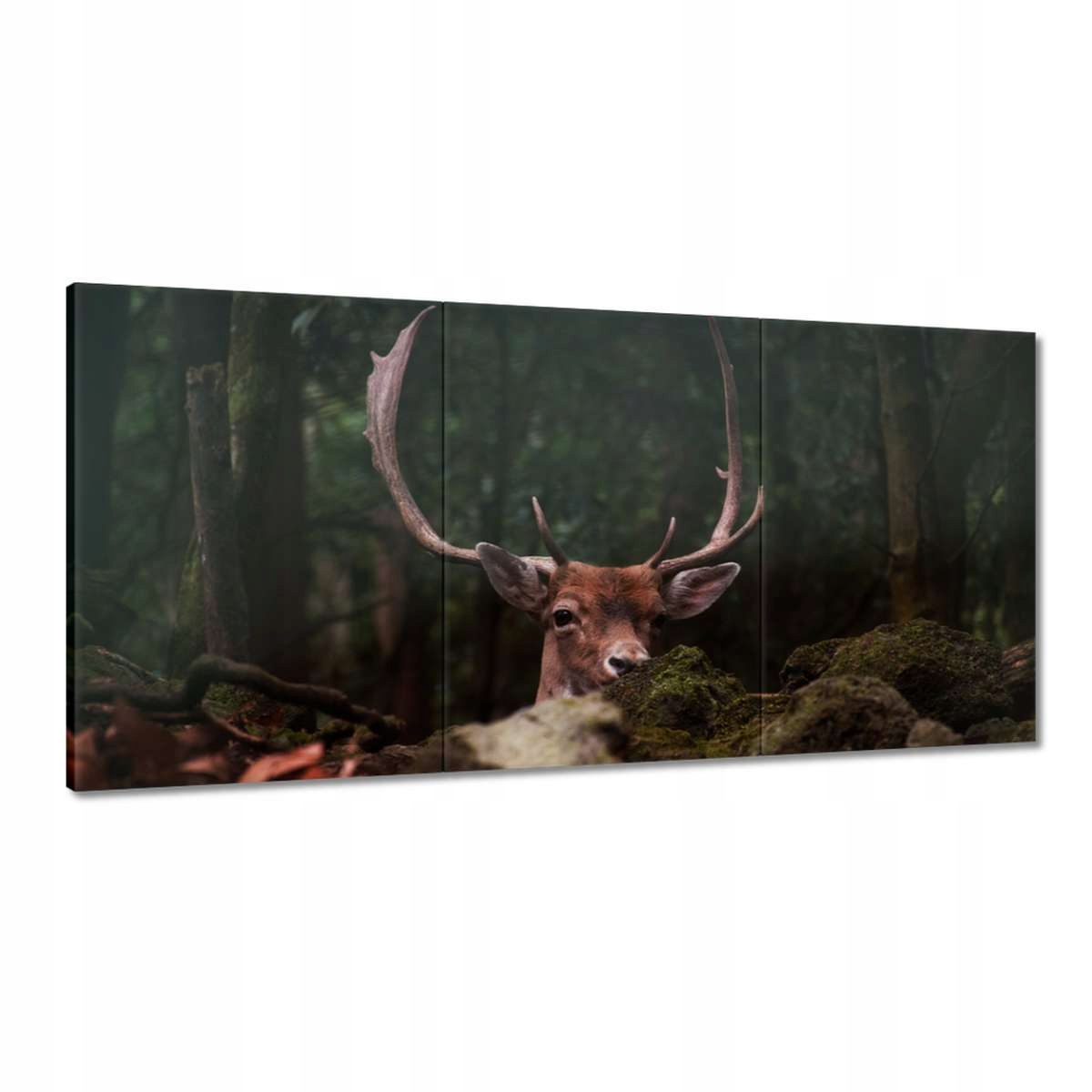 Obrazy 120x60 Jelen Jelení paroháč